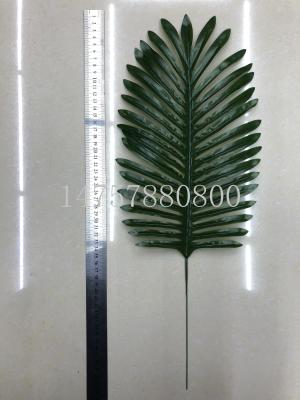 Film large leaves of dark light color iron palm leaves simulation leaves home decoration