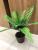 Yiwu new 12 tasson grass bundle fern simulation plant