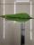Gladiolus gladiolus leaves small Brazil leaves imitation sword leaves