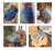 Pet Supplies Denim Breathable Four Seasons Universal Dog Clothes Hand Holding Rope