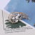 Manufacturers direct cross-border hot style high-grade pearl brooch brooch set diamond brooch brooch accessory spot