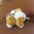 Paula 7cm Bone Dog Plush Pendant Keychain Lying Dog Plush Doll Bag Bag Charm Prize Claw Doll Wholesale