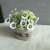 Zakka mini vintage old solid wood succulent flower barrel flower pot flower vessel wood crafts