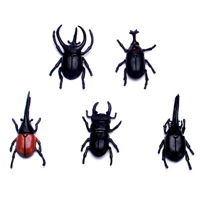 Low price supply artificial insect plastic insect model science and education supplies zoo