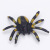 Toy plastic simulation spider model puzzle animal model