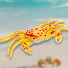 Simulated ocean model toy no. 1 plastic crab children early education cognitive products educational toys wholesale