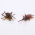 Yuan long simulation insect model toy plastic insect pendant bag mantis ant model toy wholesale