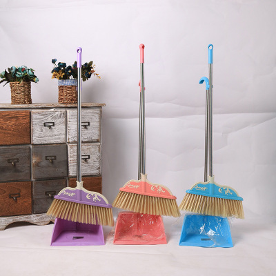 Factory Direct Sales Volume from China Dream Style Plastic Broom and Dustpan Set
