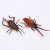 Yuan long simulation insect model toy plastic insect pendant bag mantis ant model toy wholesale