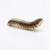 PVC simulation reptile animal identification static insect animal identification model toy wholesale shop