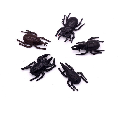 New plastic beetle model cognition toy for children early education family decoration props April fool's day pranks toys