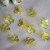 DIY accessories are found in Manufacturers Direct Transparent petal flower 5-petal flowers with 22mm color hole Simulation flowers