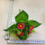 Manufacturer direct selling xy19106-1 artificial artificial flower