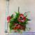 Manufacturers direct xy19037-1 artificial artificial flower simulation