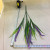 Factory direct sales of 5 foam dog tail grass imitation flowers artificial flowers