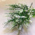 Manufacturers direct sales of 5 foam 2 fork grass imitation flowers artificial flowers