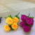 Manufacturer direct sales of 5 TC clove imitation flowers artificial flowers