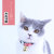 Hot new hefeng cat bells and collars many cat and dog necklaces can adjust pet home accessories hair