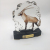 Qatar Antelope Trophy