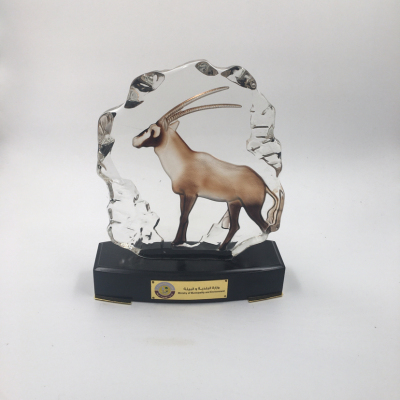 Qatar Antelope Trophy