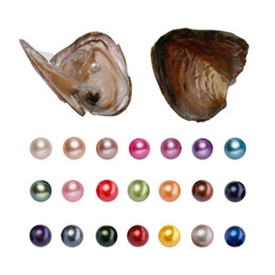  gifts freshwater wish oyster 7-8mm round pearl oysters with wish pearls inside