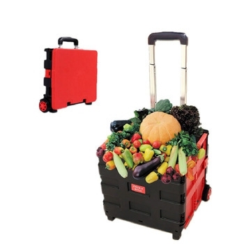 The Shopping cart trolley supermarket folding cart elderly Shopping cart plastic was carrying on