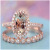 Rongyu Wish Hot Sale Rose Gold Plated Zircon Ring European and American Wedding and Birthday Gift Champagne Couple Ring