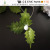 Opal ball halliye Christmas leaf lamp string lamp 20LED outdoor waterproof 8 function with timing battery lamp
