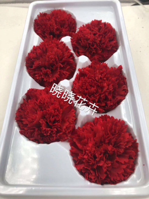 Carnation. Preserved fresh flower. Dried Flowers. Artificial Flowers. Decorative Materials