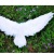 Swallow-Shaped Feather Wings Angel Wings Stage Decoration Props