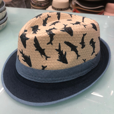 Children's Top Hat Children's Printed Hat Printed Shark Top Hat