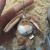 Mobile phone Wholesale nici key chain key ring chain pendent plush toy bag pendent gift doll, doll