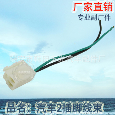 Factory Direct Sales Various Models Modified Car Supporting Pin Wiring Harness 2 Pin Wiring Harness 17cm with White Terminal