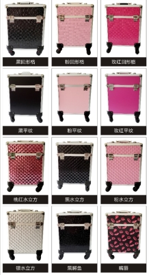 Professional Cosmetic Case Trolley Case Beauty Salon Tattoo Toolbox