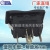 Factory Direct Sales for Liberation J6 J6l J6M J6p Glass Lifter Switch Power Window and Door Switch