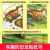 6 Volumes Children Dinosaur Stickers Book 2-3-4-5-6 Years Old Sticker Baby Stickers Brain Working Stickers Book Card