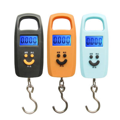 Portable mini Portable electronic scale spring scale fishing hand scale hook luggage scale 50kg luggage weigh
