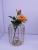 Transparent hydroponic flower pot flower arrangement er tieyi vase sitting room