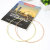 Nordic round Hanger Rose Gold Metal Iron Art round Scarf Hanger Large Wire Diameter Towel Underwear Hanger