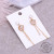 Internet Celebrity Stainless Steel Earrings Elegant Earrings New Trendy Women's Earrings Long Stainless Steel Ornament Eardrops Earrings Ornament