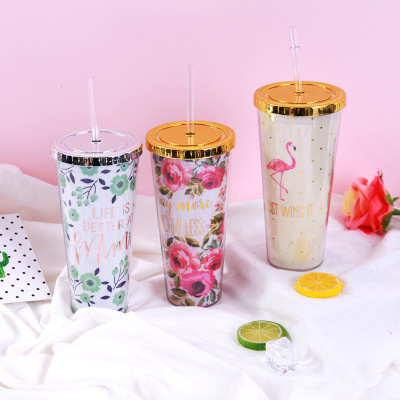 Cross-border creative plastic straw cup double cup water cup dispensating to manufacturers wholesale