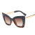 95143  New Best Selling Women Oversized Transparent Cat Eye Sunglasses China Bulk Items OEM Brand