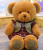 Prague teddy bear doll stuffed bear lovers cuddly bear doll girl gift