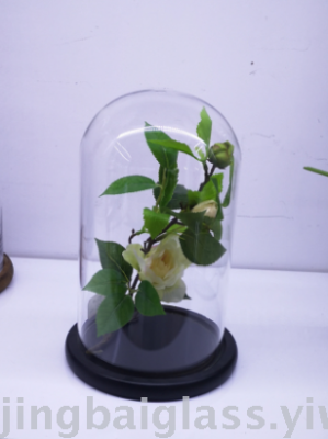 Glass Landscape Cover, Eternal Flower Cover, Glass Cake Plate, Glass Cover, Glass Flower Room