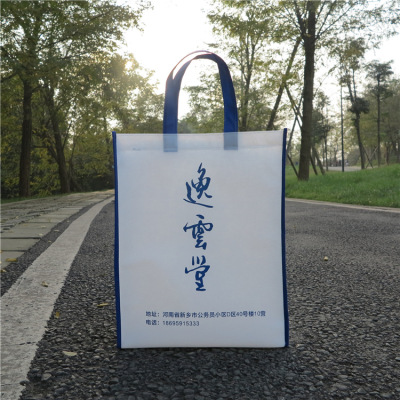 Custom Printed Logo Non-Woven Handbag Environmental Protection Custom Advertising Blank Shopping Bag