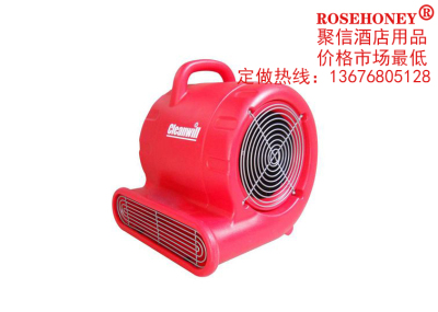 Hotel bi Hotel cleaning special hair dryer