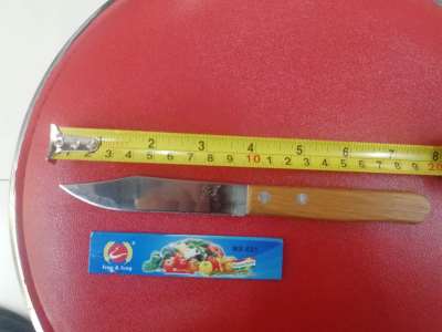 Fruit knife with wooden handle