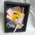 Small Daisy Series Dried Flower, Eternal Flower Gift, with Gift Box Packaging