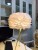 Feather desk lamp sitting room floor lamp Nordic ins sweet romantic web celebrity creative move girl bedroom bedside lamp