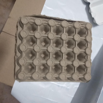 Egg MOP 30-Grid Pulp with Lid